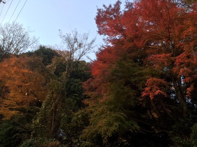 Umimoto Hotel Hakone Luaran gambar