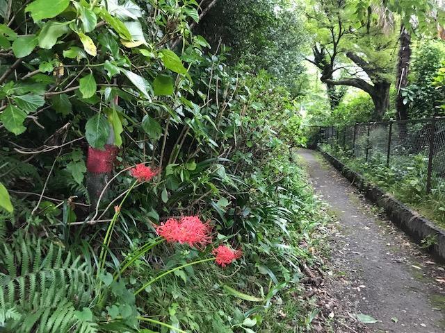 Umimoto Hotel Hakone Luaran gambar