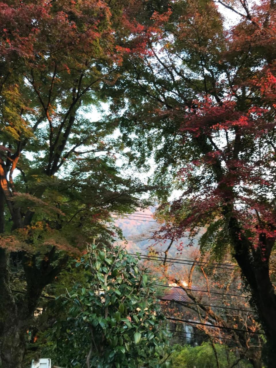 Umimoto Hotel Hakone Luaran gambar